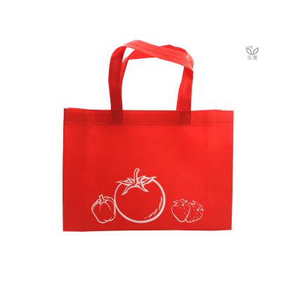18 BAG 环保袋，国内外五星级饭店认可的专业品质，量身订制尺寸，客制化 LOGO，各种环保袋、不织布手提袋、宣传购物袋、收纳袋、礼品包装袋、活动赠品袋、保温袋、覆膜袋、保冷袋、无纺袋、帆布袋、棉布袋、福袋、束口袋、备品袋、防尘袋